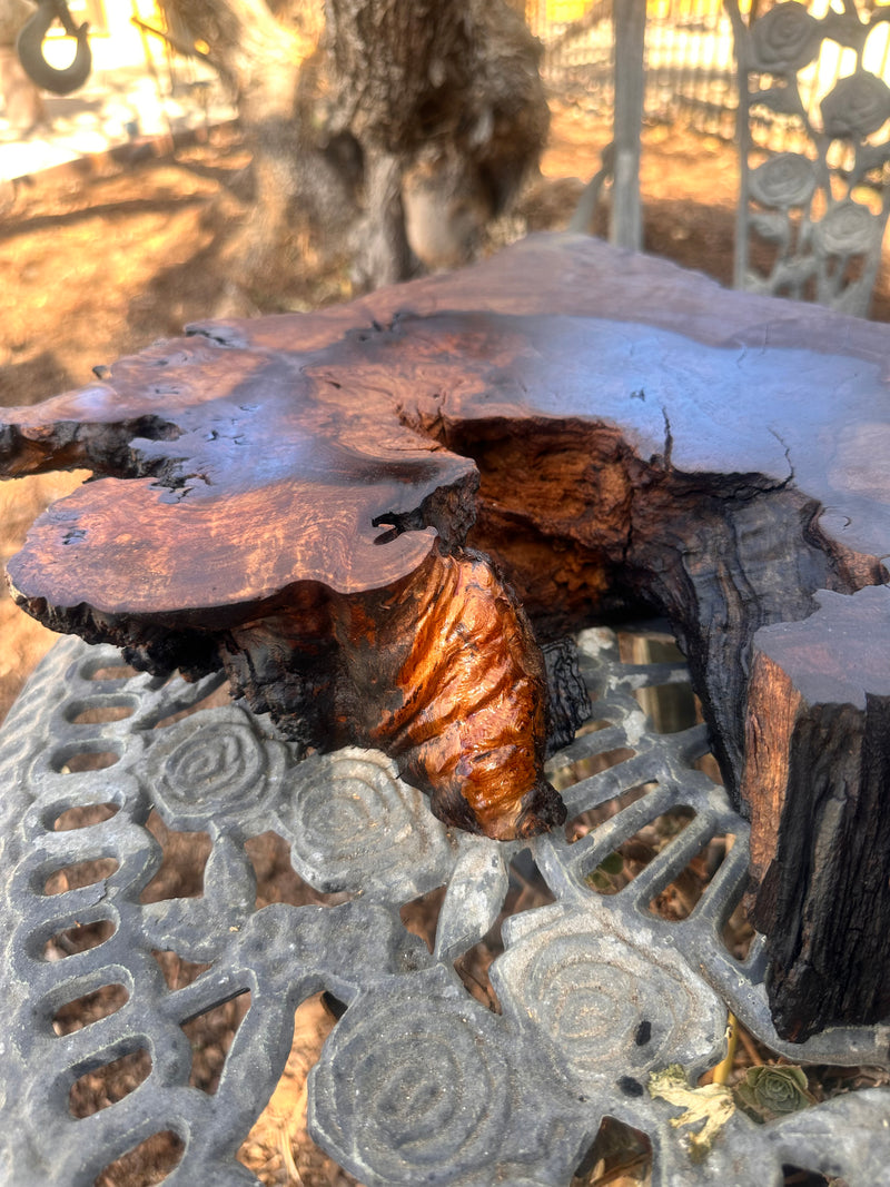 Jumbo Live Edge California Black Walnut Charcuterie and Cheese Board